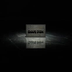 Carpe Diem Velcro Patch