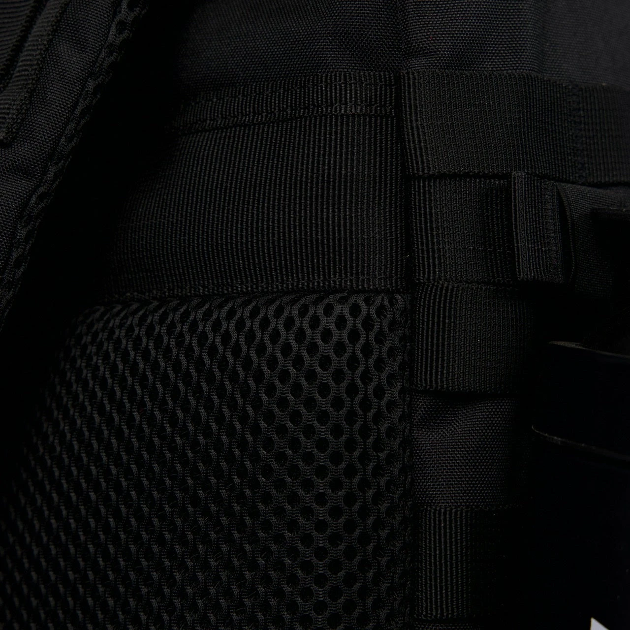 45L Nightshade Meal Prep Management 16 45L Nightshade Meal Prep Management - Image 16