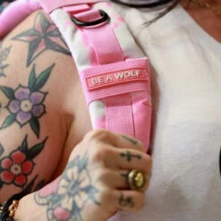 35L Backpack Timber Wolf Pink Coral -Wolfpak BED35DB8 ED42 4055 8B1F FD3B11645B3F