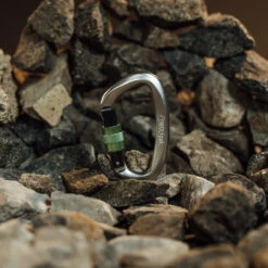 Accessory Carabiner Silver & Green