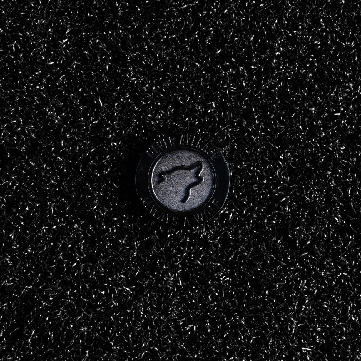 2024 Welcome To The Pak Challenge Coin 1 2024 Welcome To The Pak Challenge Coin